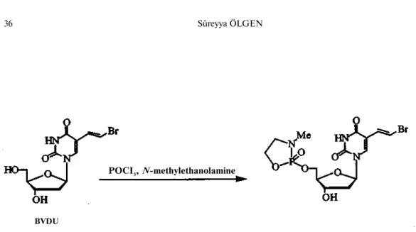 Figure 9. Oxazaphosphacyclic and dioxophosphacyclic nucleoside derivatives  X = NH,O  Rı, R 2  = H  R 1 , R 2  = H; PhCH 2 O  R 1 , R 2  =H; OH  R 1 ,R 2  = F 