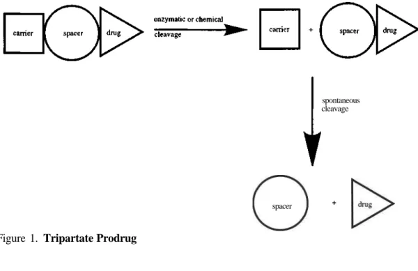 Figure 1. Tripartate Prodrug 