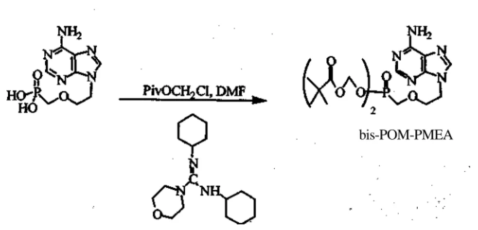 Figure 3. Decomposition of bis-POC pronucleotides 