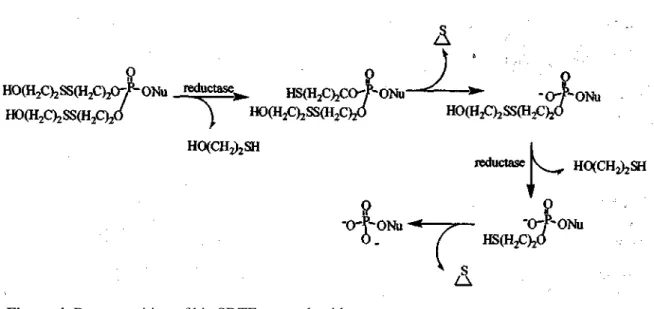 Figure 4. Decomposition of bis-SDTE pronucleotides 