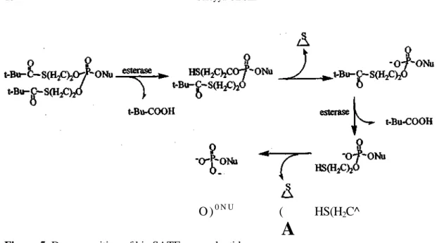 Figure 5. Decomposition of bis-SATE pronucleotides 
