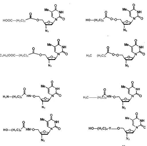 Figure 4. Structure of the three series of 5'-O-AZT prodrugs. 
