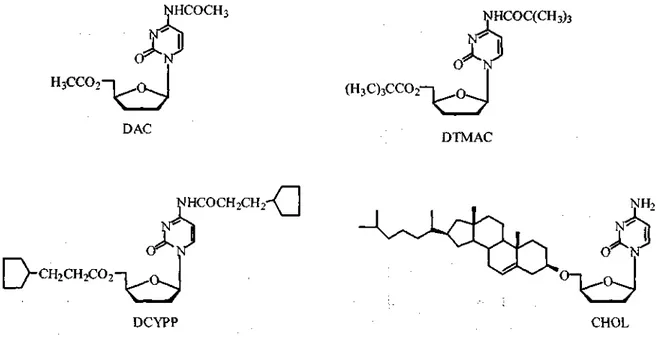 Figure 2. Lipophilic prodrugs of ddC 