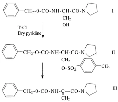 Figure 1. Synthesis of N-benzyloxycarbonyldehydroalanine pyrrolidine amid 