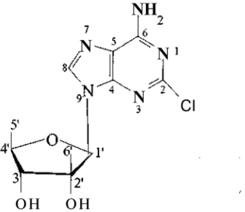 Figure 1. Kumusine (=Trachycladine A) NH CI N N N  O S 0 3 N a  NH HO HN  NH HN  H N NH N H H2N  N  H  N  H 