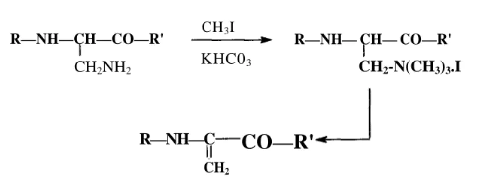 Figure 4. Preparation of dehydroalanine by Kolar et al(14) 