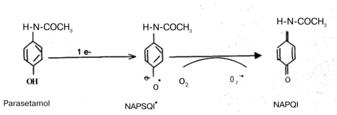 Şekil 3. NAPSQI radikalinin oluşması 