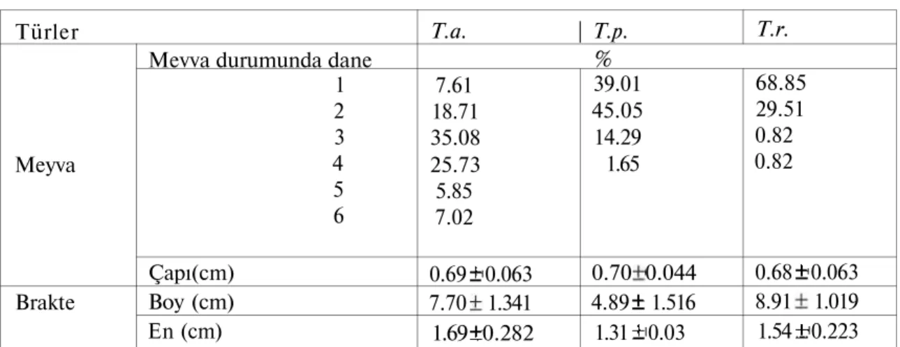 Tablo 1- Tilia meyvalarının morfolojik karşılaştırması 