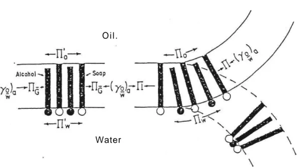 Figure 1. Diagram illustrating the mechanism of curvature of a microemulsion 