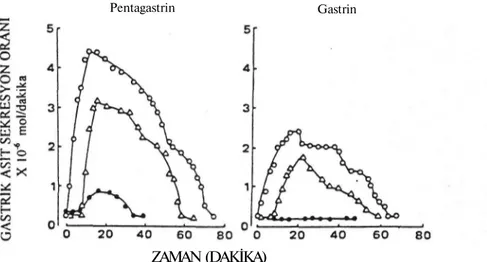 Şekil 4: Anestezi altında bulunan ratlarda gastrin ve pentagastrin uygulamasını takiben gözlenen  gastrik asit sekresyon profili