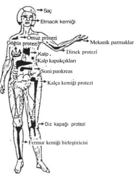 Şekil 3: Vücuttaki bazı organ/dokuların yerini alan biyomateryal implantlar.  Biyomateryal-Biyouyumluluk İlişkisi 
