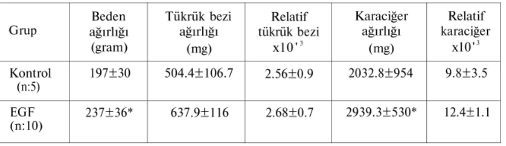 Tablo I: EGF uygulamasının beden ve doku ağırlıklarına etkisi  Grup  Kontrol  (n:5)  EGF  (n:10)  Beden  ağırlığı (gram)  197±30  237±36*  Tükrük bezi ağırlığı (mg) 504.4±106.7 637.9±116  Relatif  tükrük bezi x l 0 '3 2.56±0.9 2.68±0.7  Karaciğer ağırlığı 