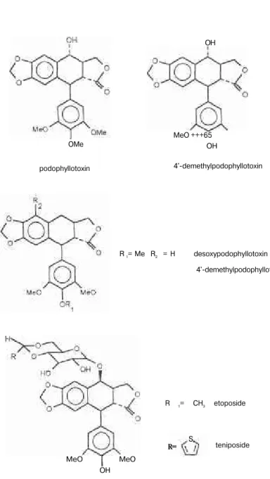 Fig. 1: Structures of four arltetralin lignans, etoposide and teniposide. 