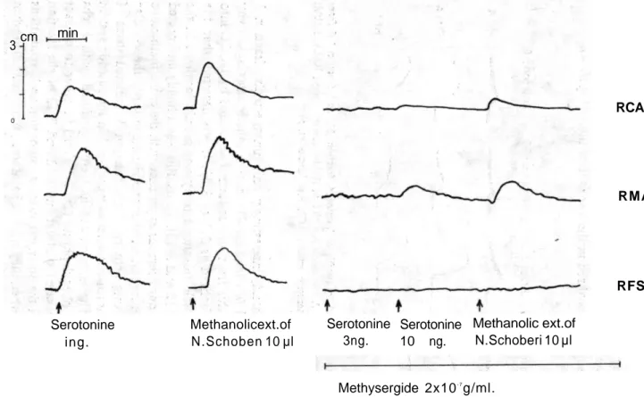 Fig. 3. Biological activity profile of the methanolic fraction of Nitrarla schoberi in the cascade superfusion system (so-called  seratonin-like activity) (RCA, Rabbit coeliac artery; RMA, Rabbit mesenteric artery; RFS, Rat fundus strip)