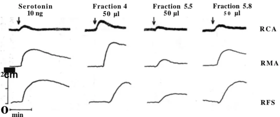 Fig. 4. Serotonin-like activity profile of fraction 4, fraction 5.5 and fraction 5.8 from  the methanolic extract of Nitraria schoberi (RCA, Rabbit coeliac artery; RMA, Rabbit 