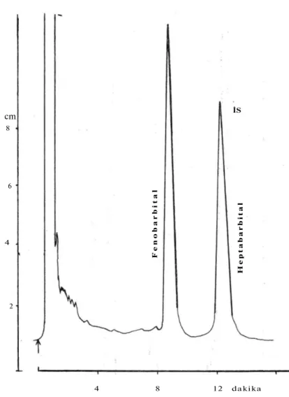 Şekil 6. Hekzobarbital PFB türevi gaz kromatogramı (Kolon: % 3 SE-30, kolon sıcaklığı:  230'C, detektör:  E C D , attenuation: 216, 1 µl numunede 100 pikogram hekzobarbital ve iç 