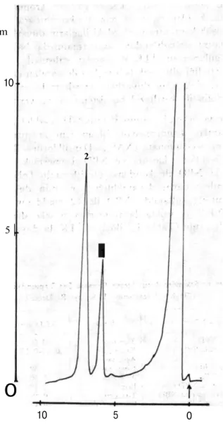 Şekil 3. Efedrin ve Norefedrinin Gaz Kromatogramları. 1- Norefedrin (0.5 mikrogram),  2- Efedrin (0.6 mikrogram)