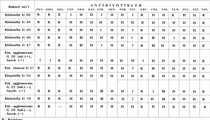 Tablo V. Enterobacterie'lerin antibiyotik hassasiyet test sonuçları.  Bakteri nev'i  A N T İ B İ Y O T İ K L E R 