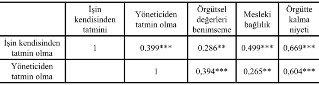 Tablo 2: Değişkenler Arası Korelasyonlar 