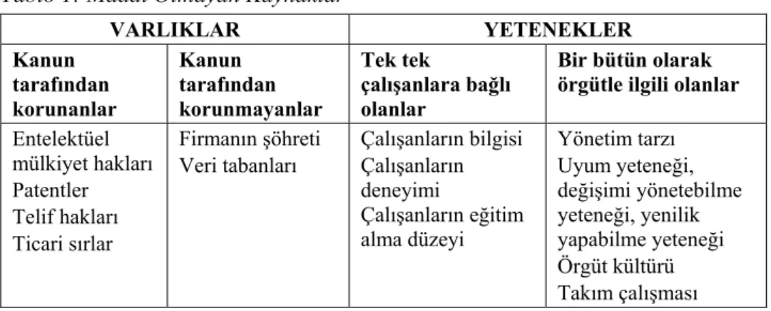Tablo 1: Maddi Olmayan Kaynaklar 