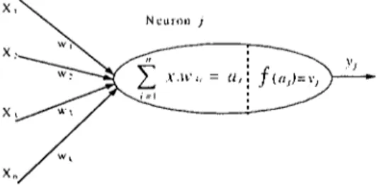 Şekil J : Neuron (artifieial neuroıı)