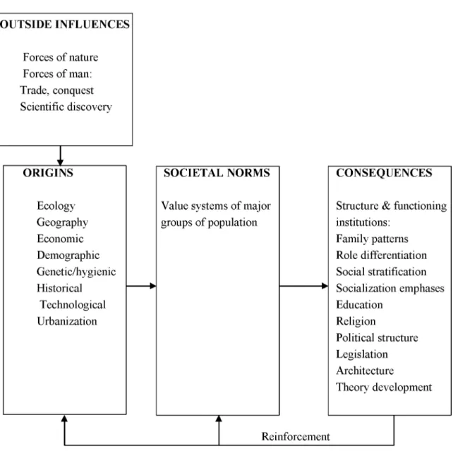 Figure 1: The stabilization of culture patterns (source: Iguisi and Hofstede, 1993:3) 