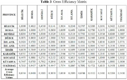 Table 3. Cross Efficiency Matrix 