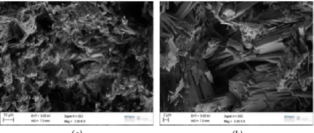 Figure  8  shows  the  SEM  images  of  gypsum composites containing only  fiber and without 