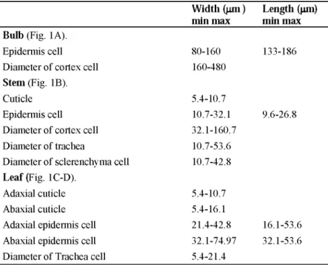 Table 1. Some anatomical measurements of Lilium carniolicum var. artvinense  Width (pm ) Length (pm)  min max min max  Bulb (Fig