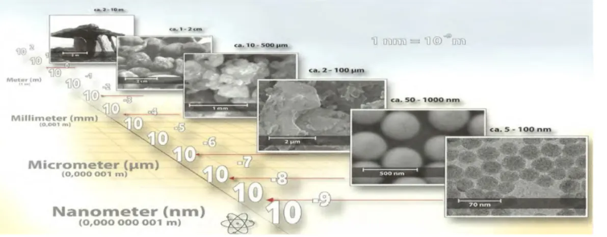 Figure 1. The diagram illustrates the order of magnitudes by comparing different scales, from the metre to the nanometre