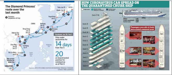 Figure 3: The Diamond Princess schematic section shows decks ans elevations [11]. 