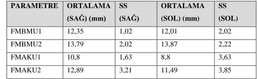 Tablo  1.  Mandibula’ya  ait  ölçümlerin  ortalama,  standart  sapma  (SS),  minimum  (min),  maximum (max) değerleri 