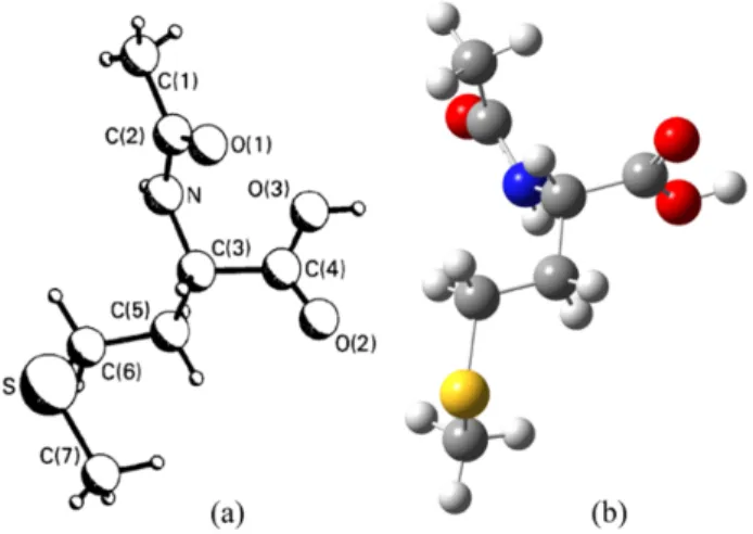 Table II gives the unscaled theoretical geometry parame- parame-ters and also experimental X-ray data of the title compound with the estimated standard deviations in parentheses