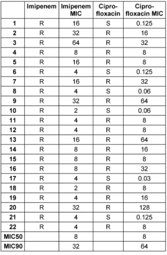 Table 3: Imipenem and Ciprofloxacin MICs (μg/mL) against CR-Kp in this study