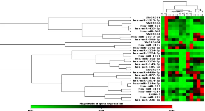 Figure 2. Hierarchical cluster analyses of miRNA profiling. This figure was constructed by hierarchical clustering analysis