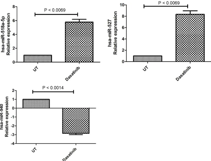 Figure 4. Validation results by qRT-PCR for hsa-miR-518a-5p, hsa-miR-940, and hsa-miR-527 expressional changes due to dasatinib 