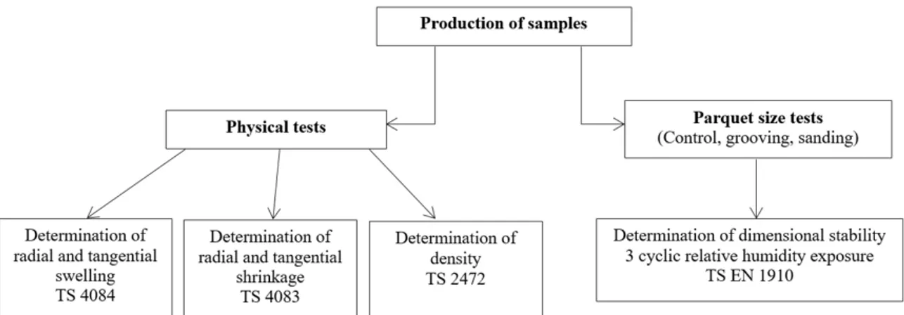 Figure 4. Specimens of physical tests.