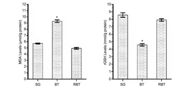 Figure 2. TNF-α and NF-kB levels of SG, BT and RBT groups. *p&lt;0.0001 compared to SG and RBT groups (n=6).
