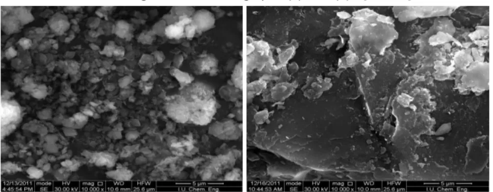 Figure 1. SEM micrographs, (a) SBW (b) S [x10000]. 
