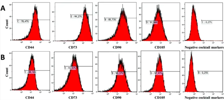 Fig. 2. Flow cytometer analysis showed that non-transfected DPSCs (A) and TGF-β1 transfected DPSCs (B) were positive for CD90, CD44, 