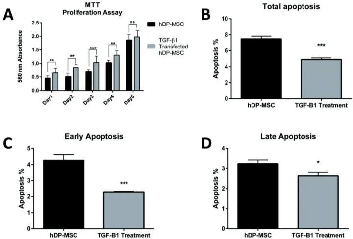 Fig. 4. MTT assays results for 5 days were shown that proliferation significantly increased in TGF-β1 transfected cells (p＜0.05) (A)