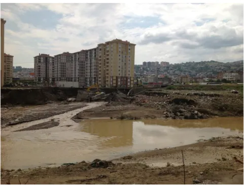 Figure 3: Samsun Flood, 2012. 