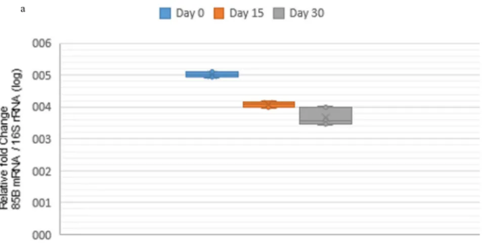 Fig. 2. Quantiﬁcation of 85B mRNA gene expression (log) for antibiotic-susceptible and resistant M