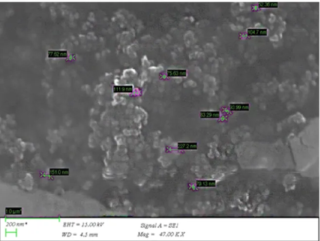 Figure 2.  Zeta Potential of Exosomes from A549 Lung Cancer Cell Lines.