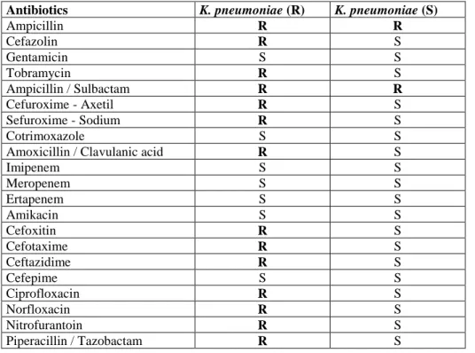 Table 2. Antibiogram results of clinical K.pneumoniae isolates  Antibiotics   K. pneumoniae (R)   K