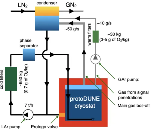 Figure 1 : A schematic of the argon purification system at NP04.