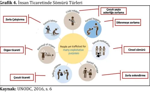 Grafik 4. İnsan Ticaretinde Sömürü Türleri 