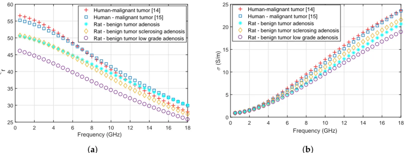 Figure 7. Dielectric property comparisons of ex vivo malignant human breast tumor tissues and in vivo rat benign breast tumor tissues: (a) Relative permittivity values; (b) Conductivity values.