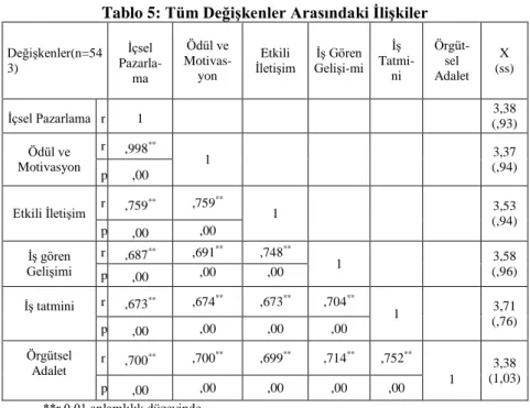 Tablo 5: Tüm Değişkenler Arasındaki İlişkiler 