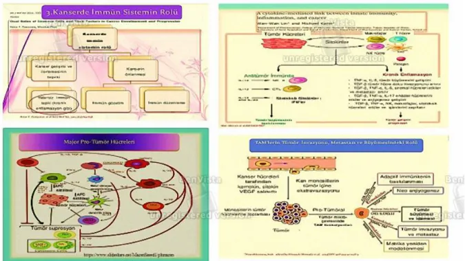 Şekil 1. Kanser gelişiminde inflamasyonun mekanizmaları 